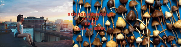 гашиш Белокуриха
