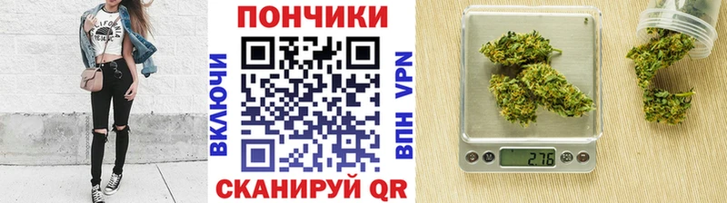 Бошки марихуана гибрид  где найти   Кузнецк 
